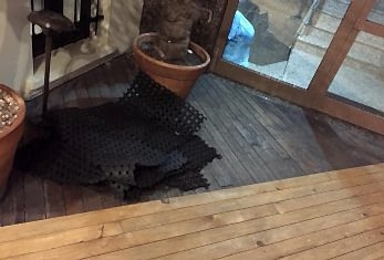 Beşiktaş Parke Ustası
